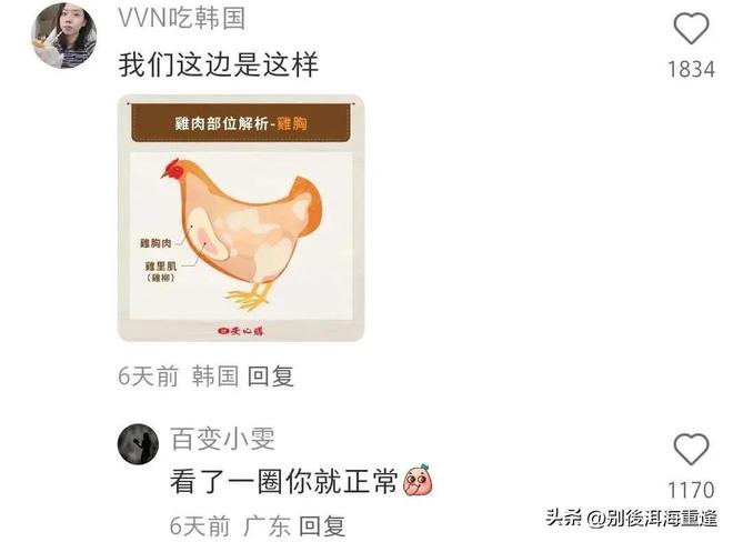 湖人正式裁掉克内克特！新赛季15+3阵容出炉：东契奇小里领衔